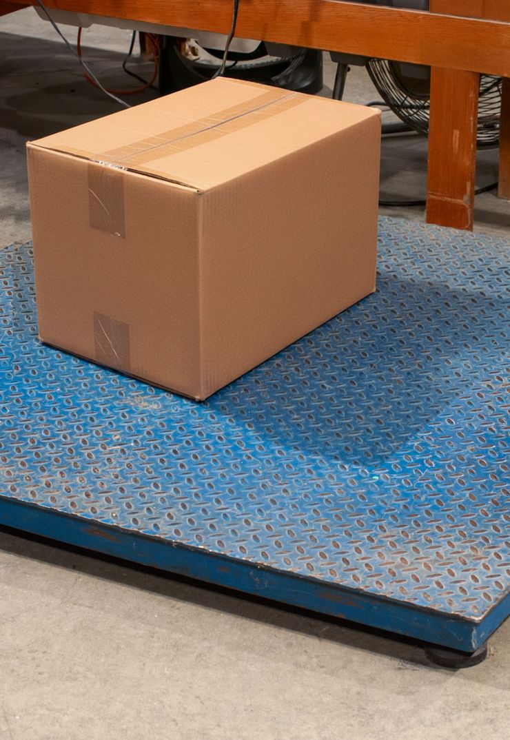 Platform Scale